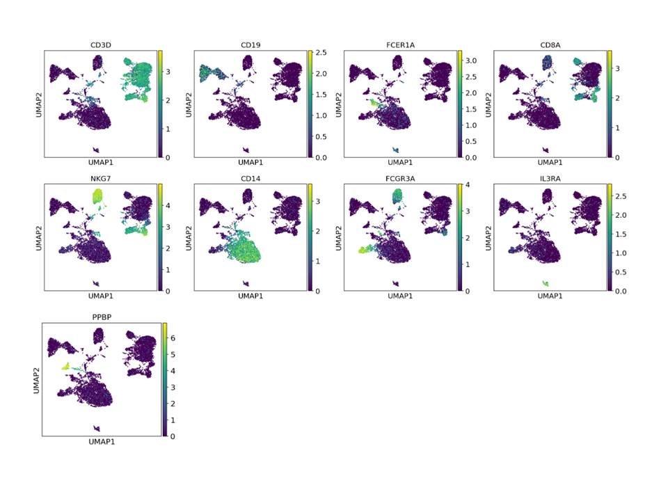 marker genes in PBMC UMAP